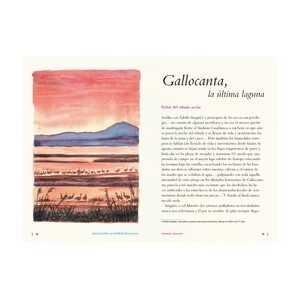 GALLOCANTA Y LOS HUMEDALES DE INTERIOR 4
