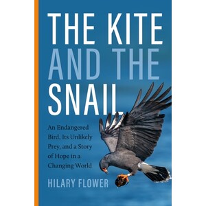 THE KITE AND THE SNAIL. AN ENDANGERED BIRD, ITS UNLIKELY PREY, AND A STORY OF HOPE IN A CHANGING WORLD