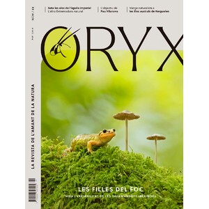 REVISTAS Y PUBLICACIONES PERIÓDICAS