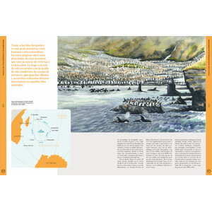 ORYX, LA REVISTA DEL AMANTE DE LA NATURALEZA. NÚMERO 03. VERSIÓN IMPRESA EN CASTELLANO. 4