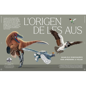 ORYX, LA REVISTA DE L'AMANT DE LA NATURA. NÚMERO 04. VERSIÓ IMPRESA EN CATALÀ._1