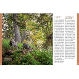 ORYX, LA REVISTA DE L'AMANT DE LA NATURA. NÚMERO 04. VERSIÓ IMPRESA EN CATALÀ. 3