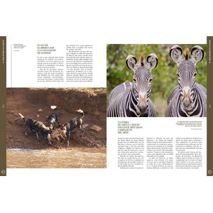 ORYX, LA REVISTA DE L'AMANT DE LA NATURA. NÚMERO 04. VERSIÓ IMPRESA EN CATALÀ. 4