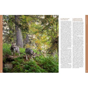 ORYX, LA REVISTA DEL AMANTE DE LA NATURALEZA. NÚMERO 04. VERSIÓN IMPRESA EN CASTELLANO. 3