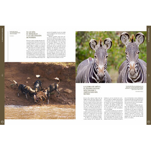 ORYX, LA REVISTA DEL AMANTE DE LA NATURALEZA. NÚMERO 04. VERSIÓN IMPRESA EN CASTELLANO. 4