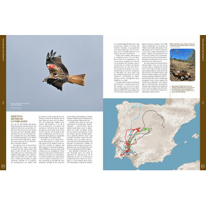 ORYX, LA REVISTA DEL AMANTE DE LA NATURALEZA. NÚMERO 07. VERSIÓN IMPRESA EN CASTELLANO. 5