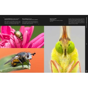 ORYX, LA REVISTA DE L'AMANT DE LA NATURA. NÚMERO 08. VERSIÓ IMPRESA EN CATALÀ. 6