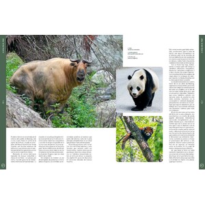 ORYX, LA REVISTA DEL AMANTE DE LA NATURALEZA. NÚMERO 08. VERSIÓN IMPRESA EN CASTELLANO. 4