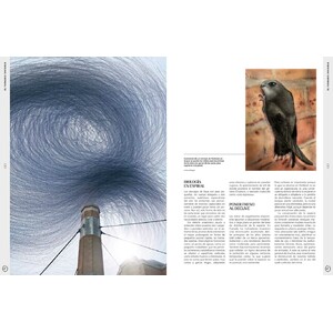 ORYX, LA REVISTA DEL AMANTE DE LA NATURALEZA. NÚMERO 09. VERSIÓN IMPRESA EN CASTELLANO. 3