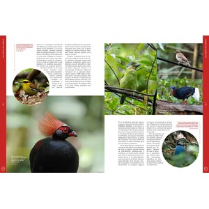 ORYX, LA REVISTA DEL AMANTE DE LA NATURALEZA. NÚMERO 09. VERSIÓN IMPRESA EN CASTELLANO. 4