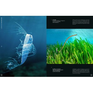 ORYX, LA REVISTA DEL AMANTE DE LA NATURALEZA. NÚMERO 09. VERSIÓN IMPRESA EN CASTELLANO. 6