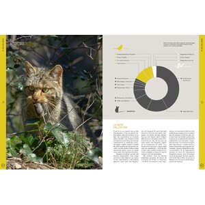 ORYX, LA REVISTA DE L'AMANT DE LA NATURA. NÚMERO 10. VERSIÓ IMPRESA EN CATALÀ. 4