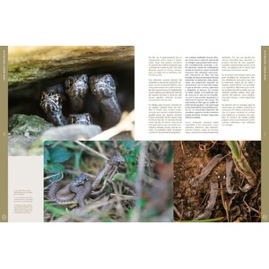 ORYX, LA REVISTA DEL AMANTE DE LA NATURALEZA. NÚMERO 10. VERSIÓN IMPRESA EN CASTELLANO. 3