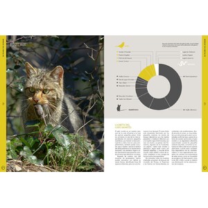 ORYX, LA REVISTA DEL AMANTE DE LA NATURALEZA. NÚMERO 10. VERSIÓN IMPRESA EN CASTELLANO. 4