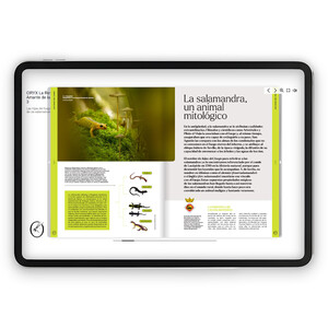 SUSCRIPCIÓN ANUAL A LA REVISTA ORYX DIGITAL EN CASTELLANO