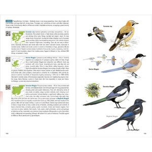 KIT BÁSICO DE OBSERVACIÓN DE AVES: PRISMÁTICO OPTICRON OREGON 10X42 + AVES DE ESPAÑA 7