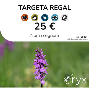 TARJETA REGALO 25   / TARGETA REGAL / GIFT CARD