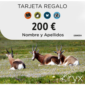 TARJETA REGALO 200  / TARGETA REGAL / GIFT CARD