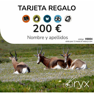 TARJETA REGALO 200  / TARGETA REGAL / GIFT CARD_1