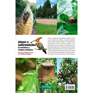 PLAGAS Y ENFERMEDADES EN HORTALIZAS Y FRUTALES ECOLÓGICOS_1